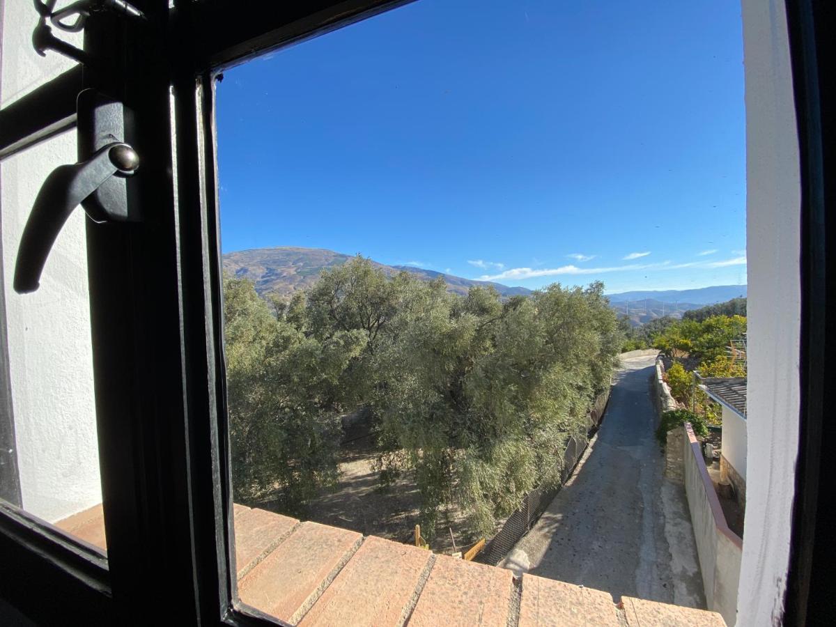 Casa Limon Bed & Breakfast Pinos del Valle Exterior photo